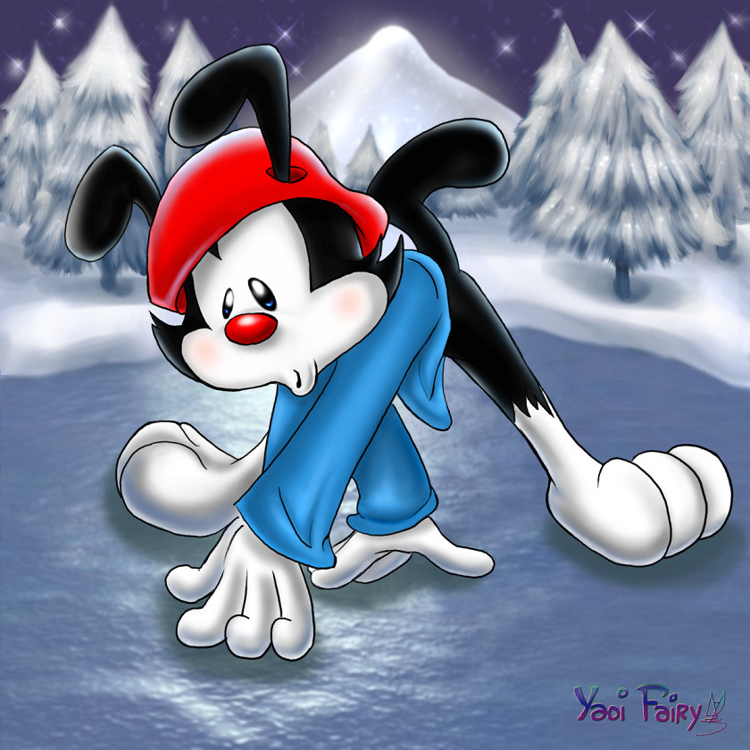 Wakko Slippin on the Ice