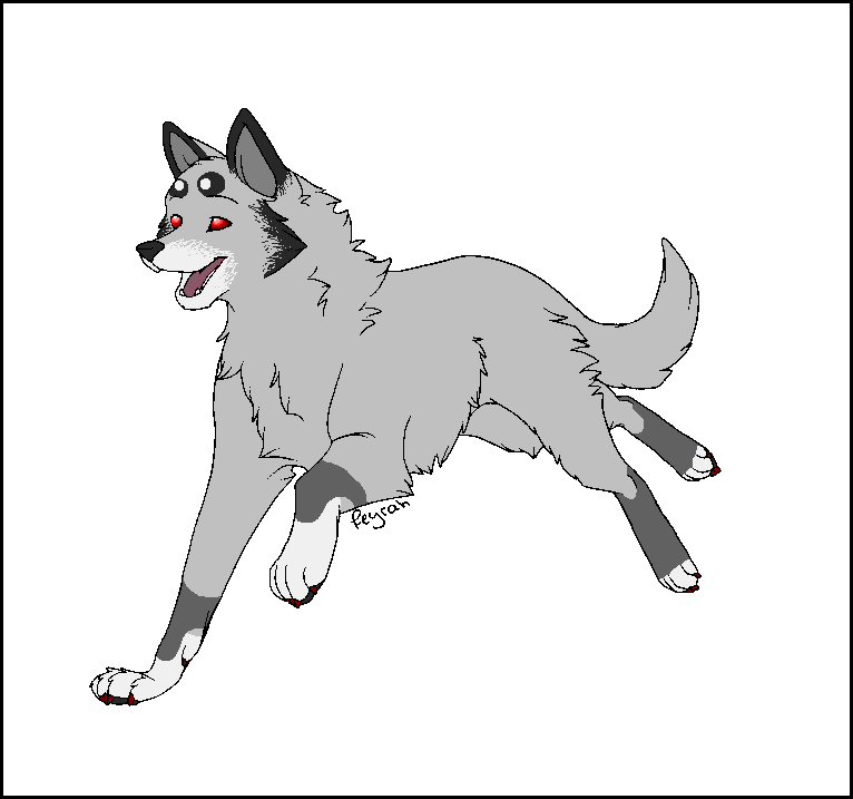 Wolf adoptable  -  CLOSED