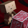 danbo build card house