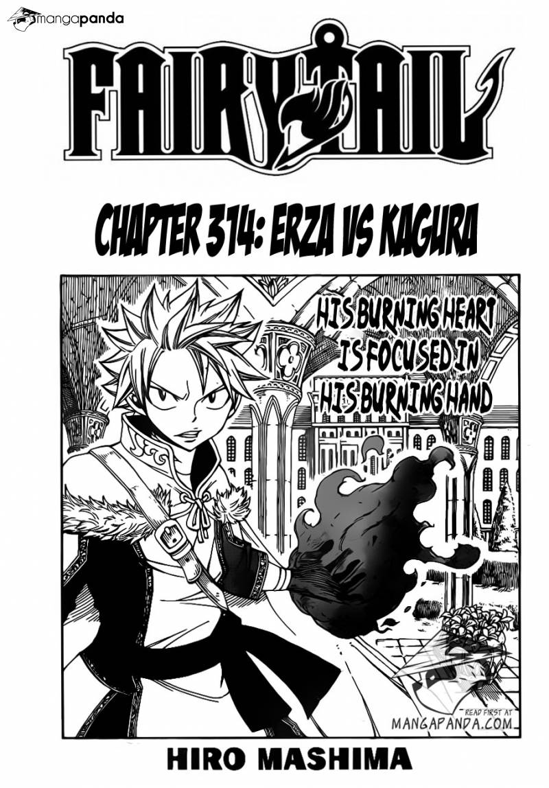 Fairy Tail Chapter 314 Cover - Hot Natsu