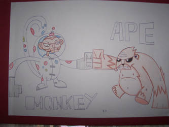 monkey n ape