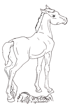 Foal Lineart 02