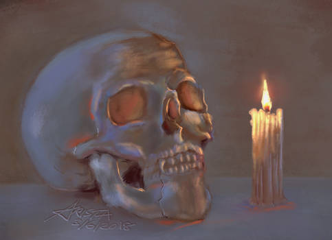 Skull Study