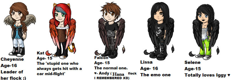 Maximum Ride OC's by IceClanWolfWarrior on DeviantArt