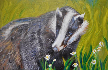 Badger