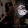 under the moon