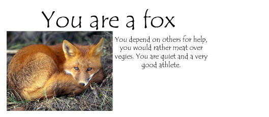 What animal Are You: Quiz Answered by SonicSATAMxSEGAsally on DeviantArt