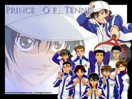 Prince of Tennis- Seigaku