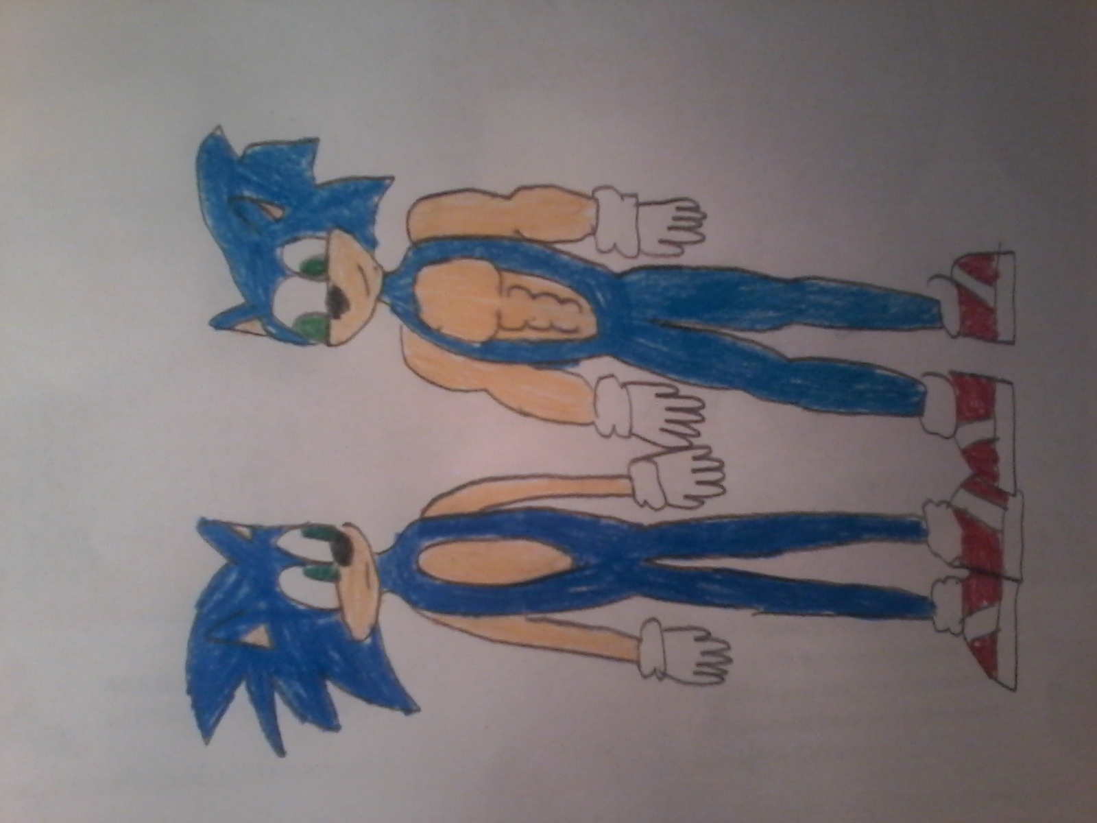 I.M.P Colored #625 - Bara/Buff Sonic by Universe-1029 on DeviantArt