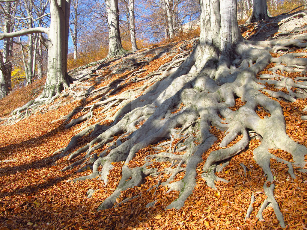 Many Roots One World Roots of the World by MetalMouseArt on DeviantArt