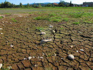 Dry Pond