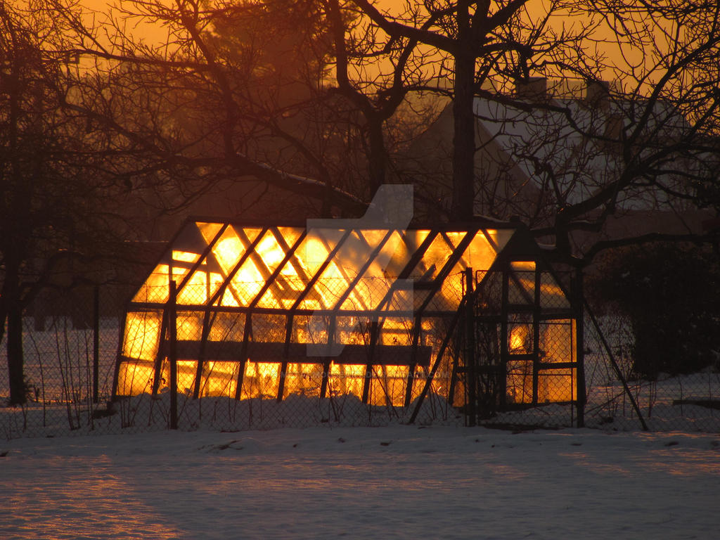 Shining Greenhouse