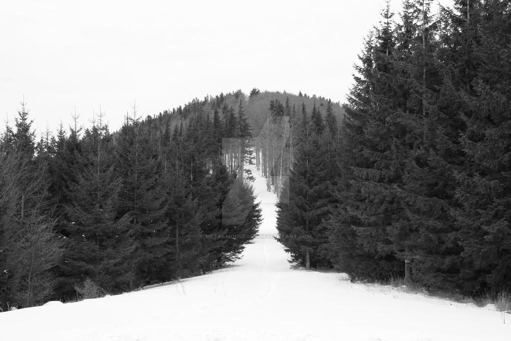 White Path Pattern White Path by MetalMouseArt on DeviantArt