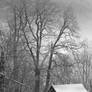 Cottage in Winter