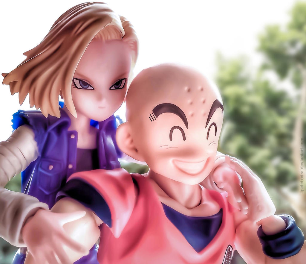 Dragon Ball Z - Kuririn and Android 18 / 2.0 by lipeteixeira on DeviantArt