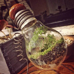 Mini Steampunk Terrarium in a Light Bulb