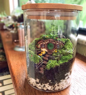 Mini Hobbit Hole Terrarium