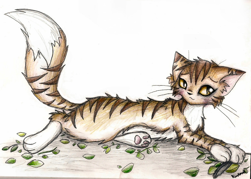 Leafpool