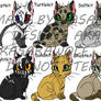 Warrior Cats- Kits 2 GONE