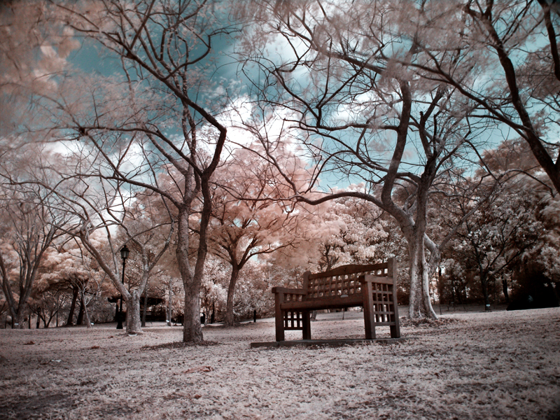 iNfraRed - bOtanical gardens 1
