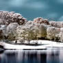 iNfraRed - bOtanical gardens 2