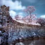 iNfraRed - bOtanical gardens 3