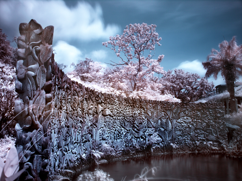 iNfraRed - bOtanical gardens 3