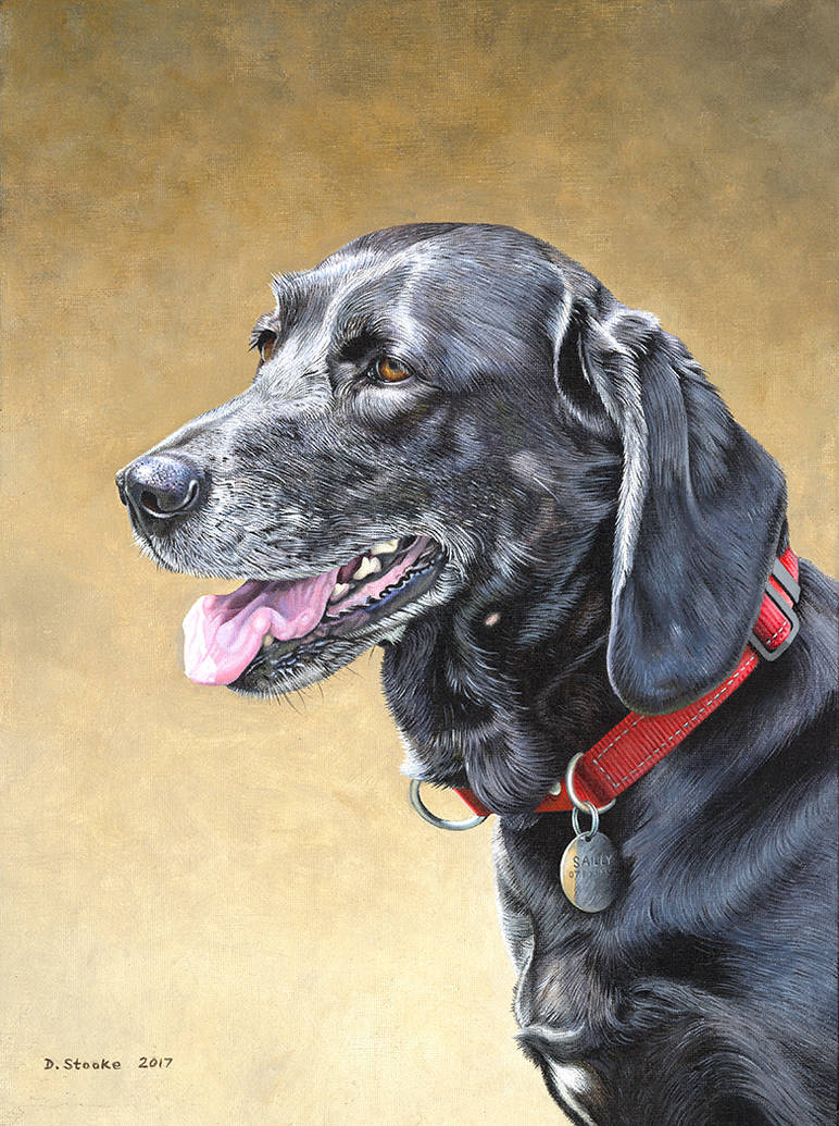Black Lab Deviantart Black Labrador by NewAgeTraveller on DeviantArt