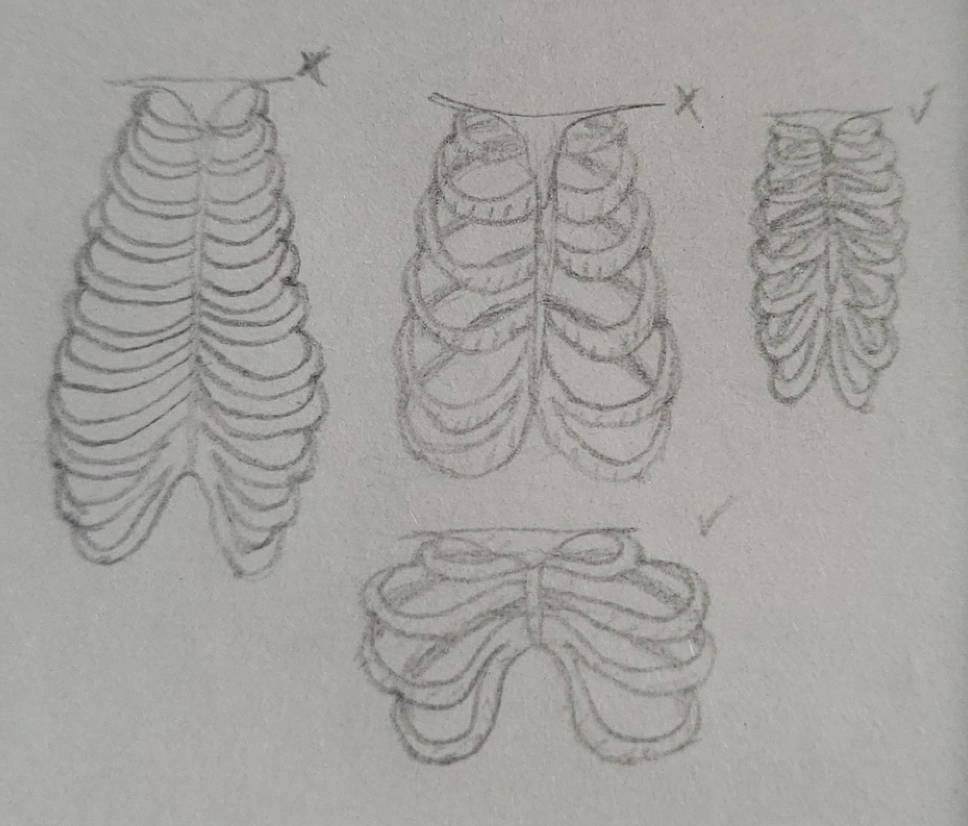 Strange Ribcages by HalfEndyMion on DeviantArt