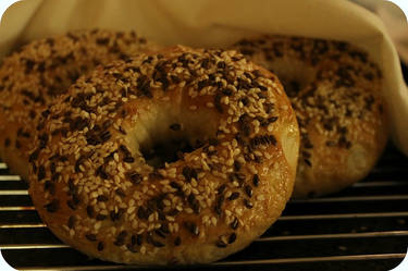 Bagels