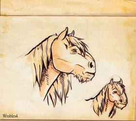 Draft Horse Sketches
