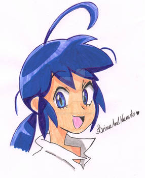 Marinette Dupain Cheng (Ladybug PV)