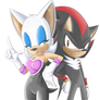 Rouge And Shadow