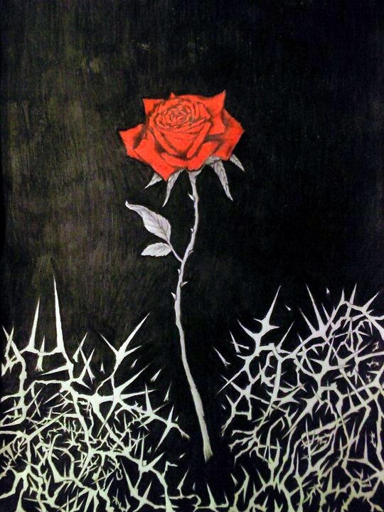 Rose and thorns drawing by CalebSlabzzzGraham on DeviantArt