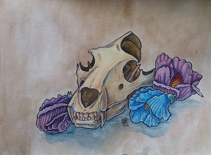 Skull  with flowers