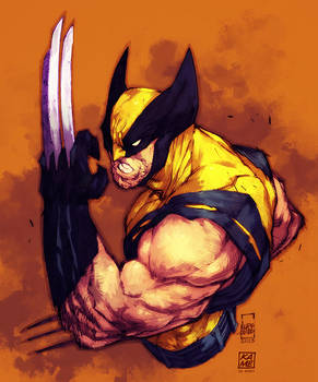 Wolverine (colors)