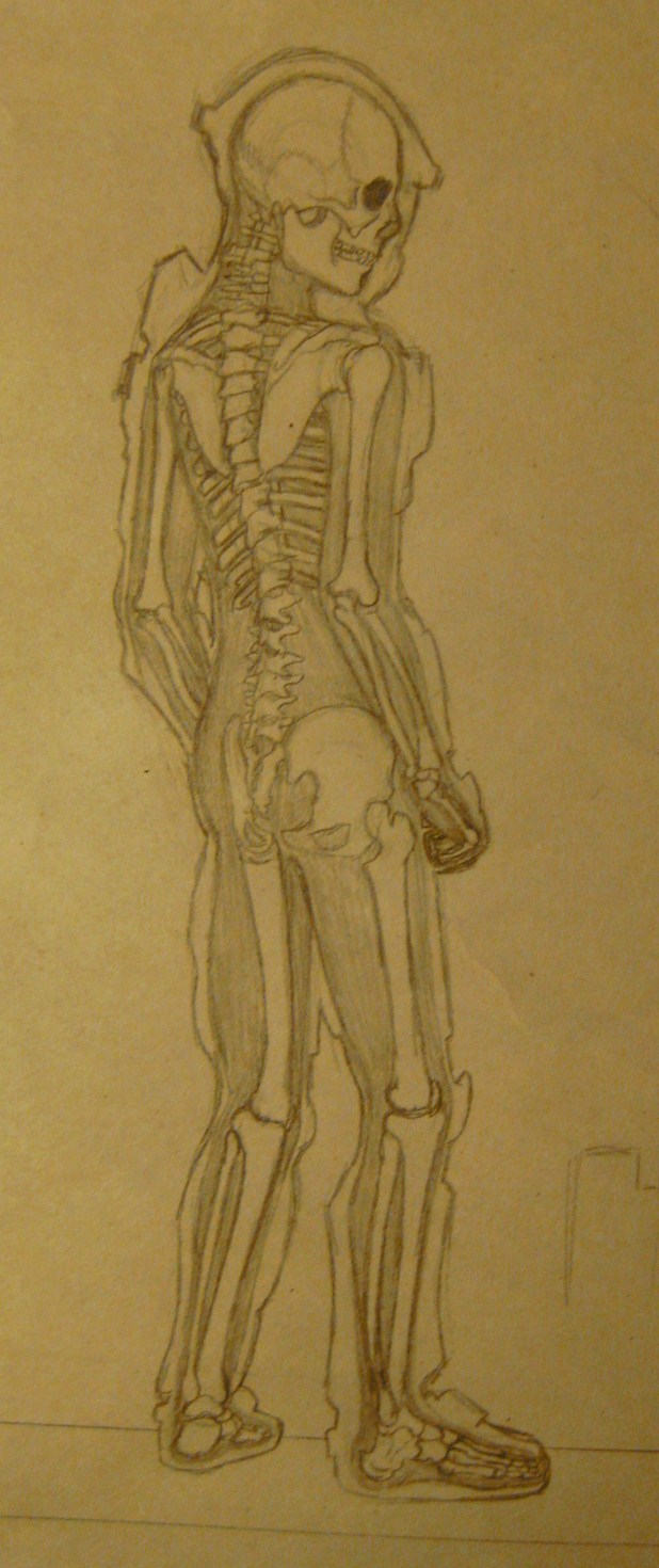 Spartan skeleton