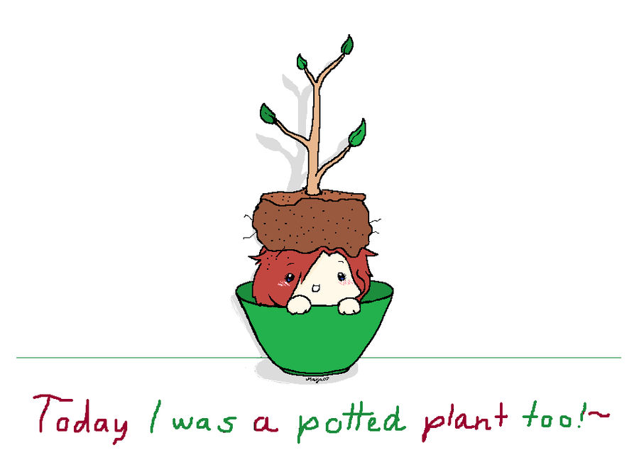 I was a potted plant too