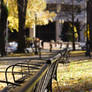 Deserted Bench