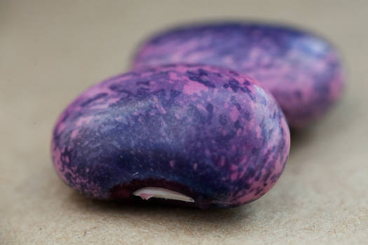 Purple Beans