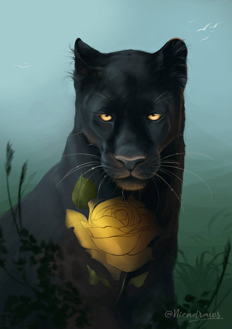 Comission for a client / Panther by niendraws on DeviantArt