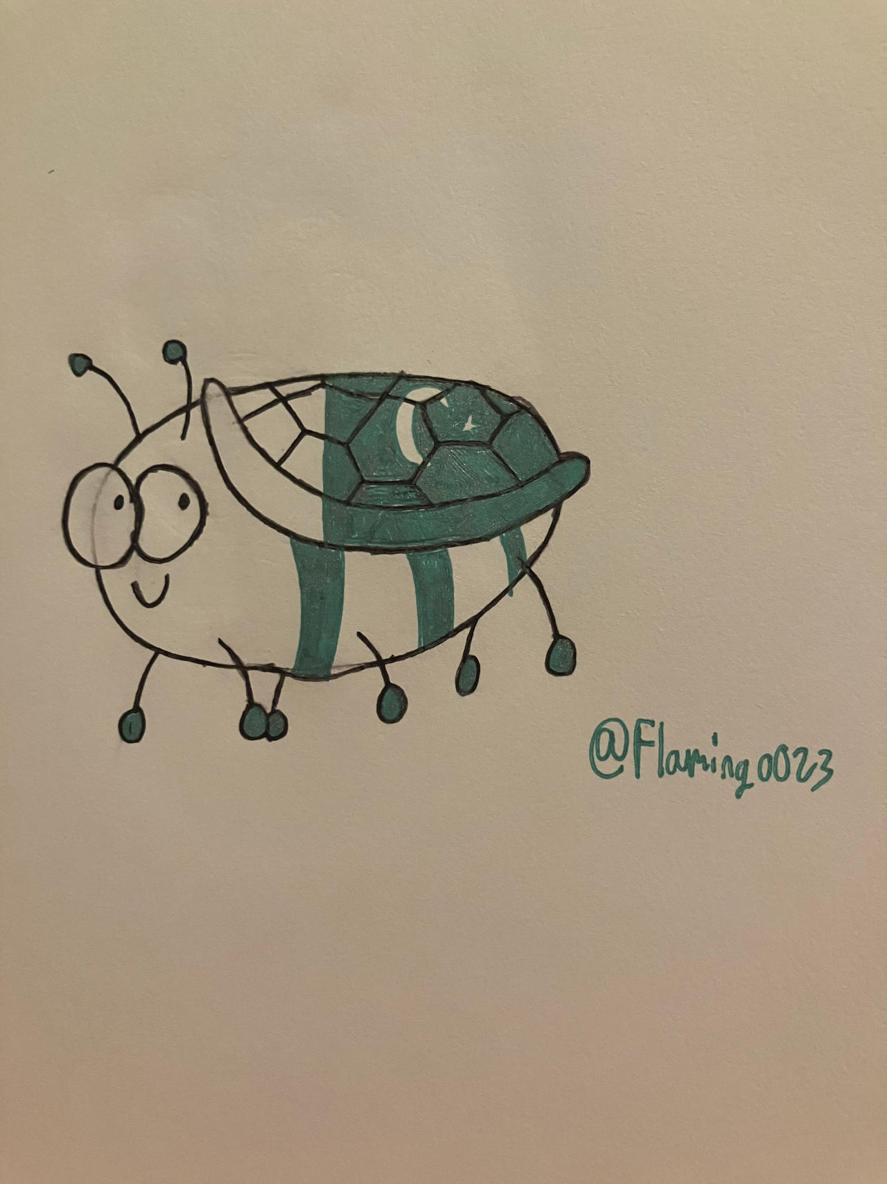Lingo Turtle 20Lingo25 Day 28: Turtle by Flamingo023 on DeviantArt