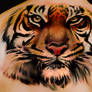 tattoos tiger Andrea Afferni