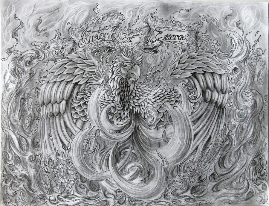 Phoenix Rising by em613 on DeviantArt