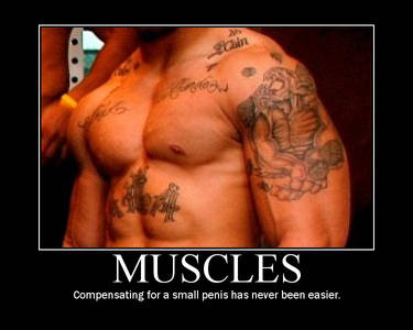 Muscles