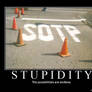 Stupidity