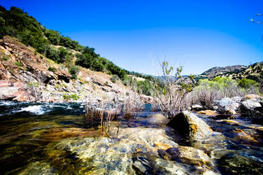 Sierra National Forest