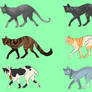 cat adopts ONLY 200 POINTS ! (0/6 open)