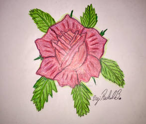 Draw a Rose for fun :3
