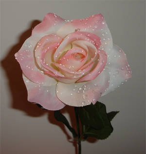 Fabric Pink Rose